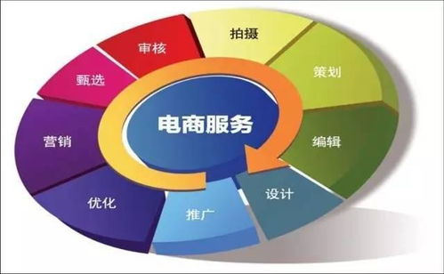 电子商务专业技能介绍