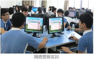 专业电子商务学习心得