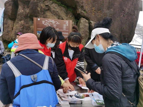 藏海传连更八天的精彩之旅