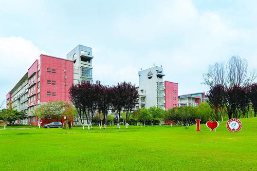 青海大学有电子商务专业吗