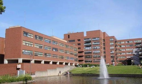 北海道大学电子商务专业